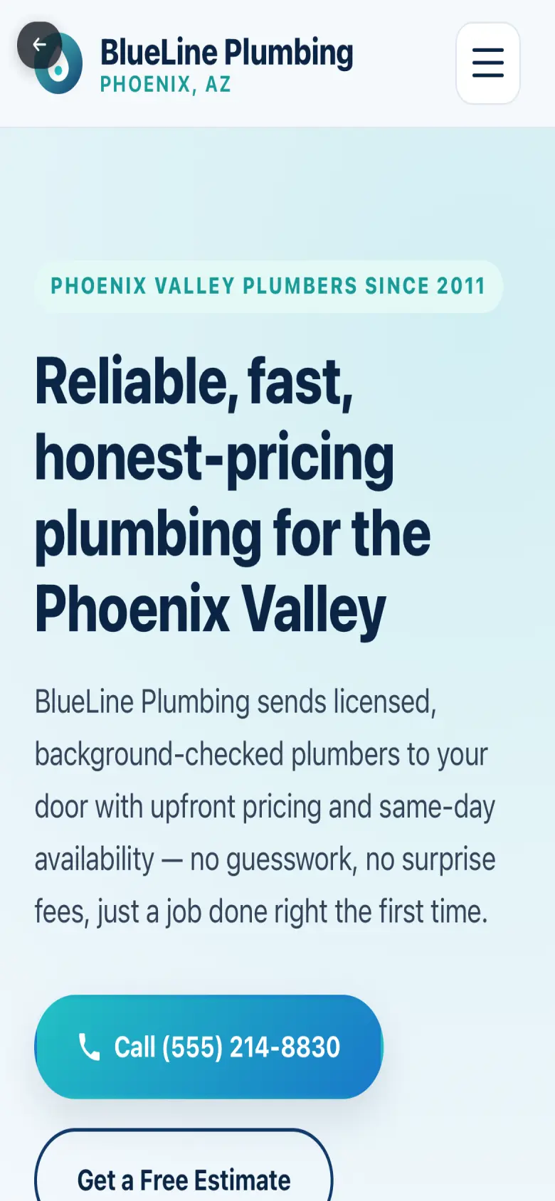 Plumbing website preview